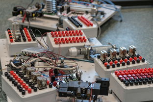 乐鱼体育在线登陆-数字化转型：青训系统中的大数据应用，数字化转型_青训系统中的大数据应用有哪些