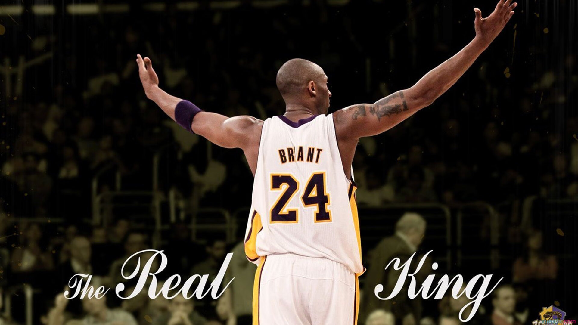 乐鱼体育官网下载-中国篮球的改革带来全新局面，中国篮球如何改革